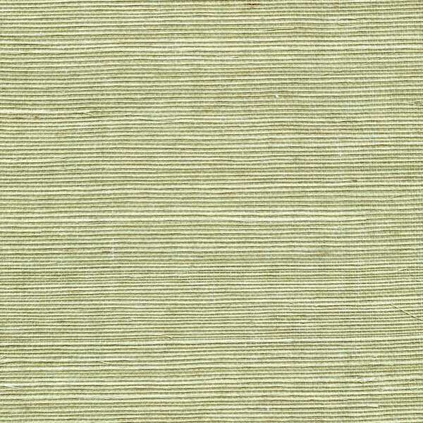 Sisal - Fern - WINFIELD THYBONY Wallpaper