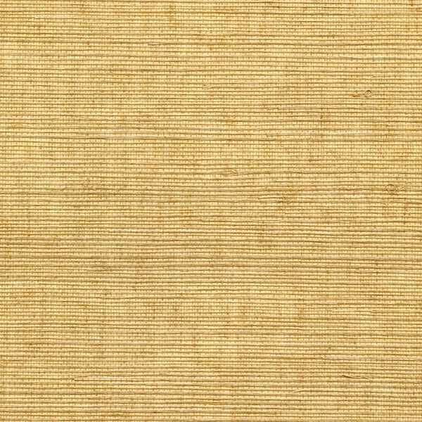 Sisal - Brush - WINFIELD THYBONY Wallpaper