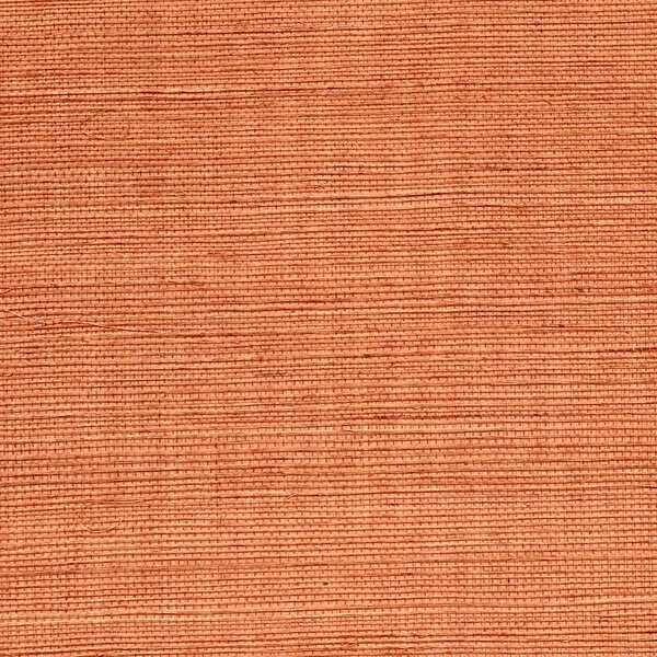 Sisal - Spice - WINFIELD THYBONY Wallpaper