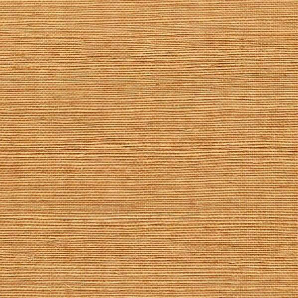 Sisal - Ecru - WINFIELD THYBONY Wallpaper