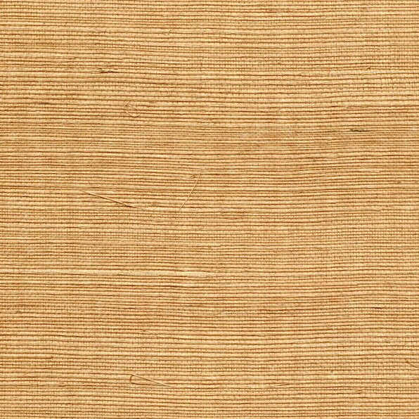 Sisal - Butterscotch - WINFIELD THYBONY Wallpaper