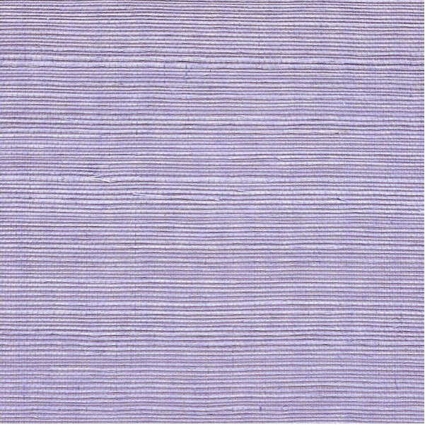 Sisal - Periwinkle - WINFIELD THYBONY Wallpaper