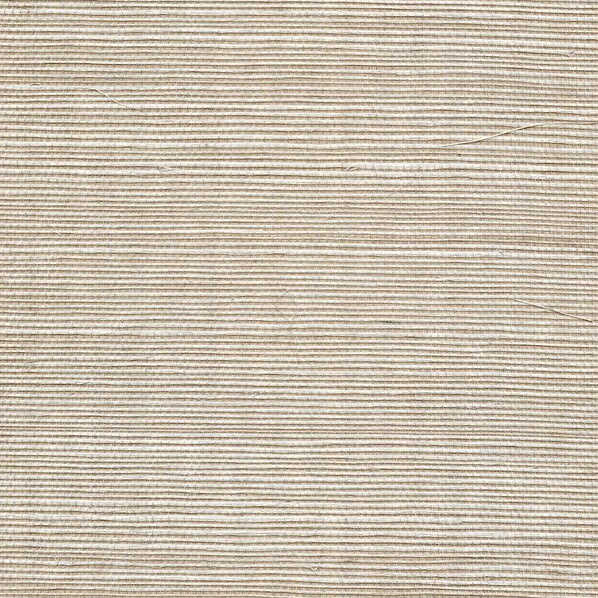 Sisal - Shell - WINFIELD THYBONY Wallpaper
