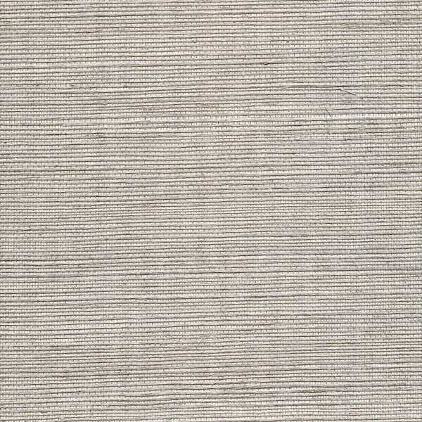 Metallic Sisal - Thunder - WINFIELD THYBONY Wallpaper