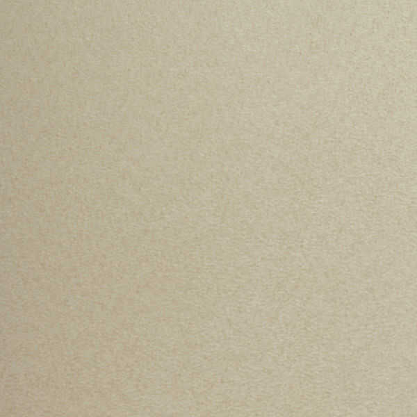 Dovera - Latte - WINFIELD THYBONY Wallpaper