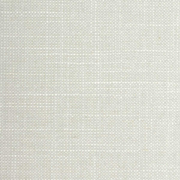 Adorno - White Marigold - WINFIELD THYBONY Wallpaper