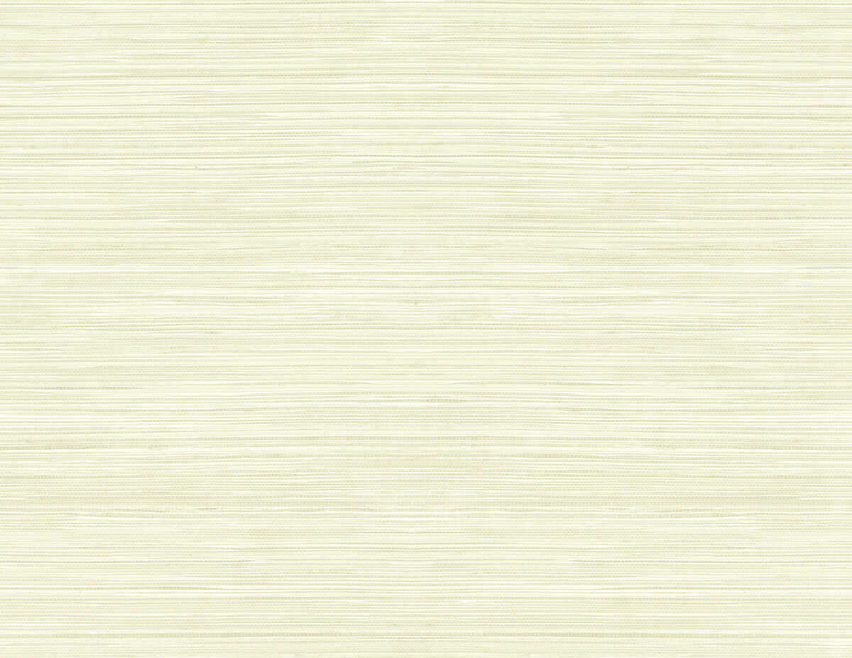 Grasscloth Texture - Shell - WINFIELD THYBONY Wallpaper