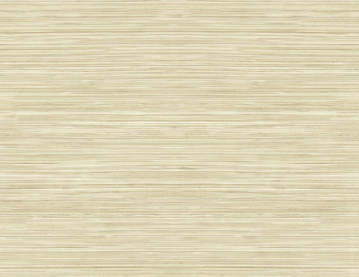 Grasscloth Texture - Sandy