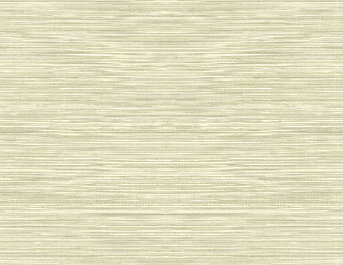 Grasscloth Texture - Gravel