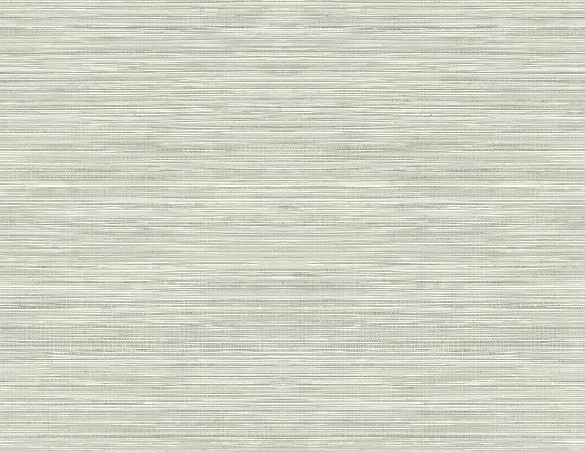 Grasscloth Texture - Grey