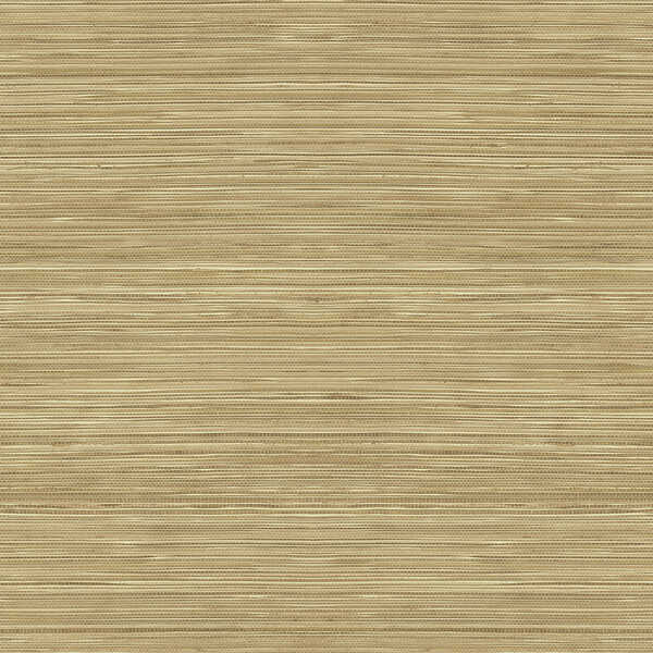 Grasscloth Texture - Dessertp - WINFIELD THYBONY Wallpaper