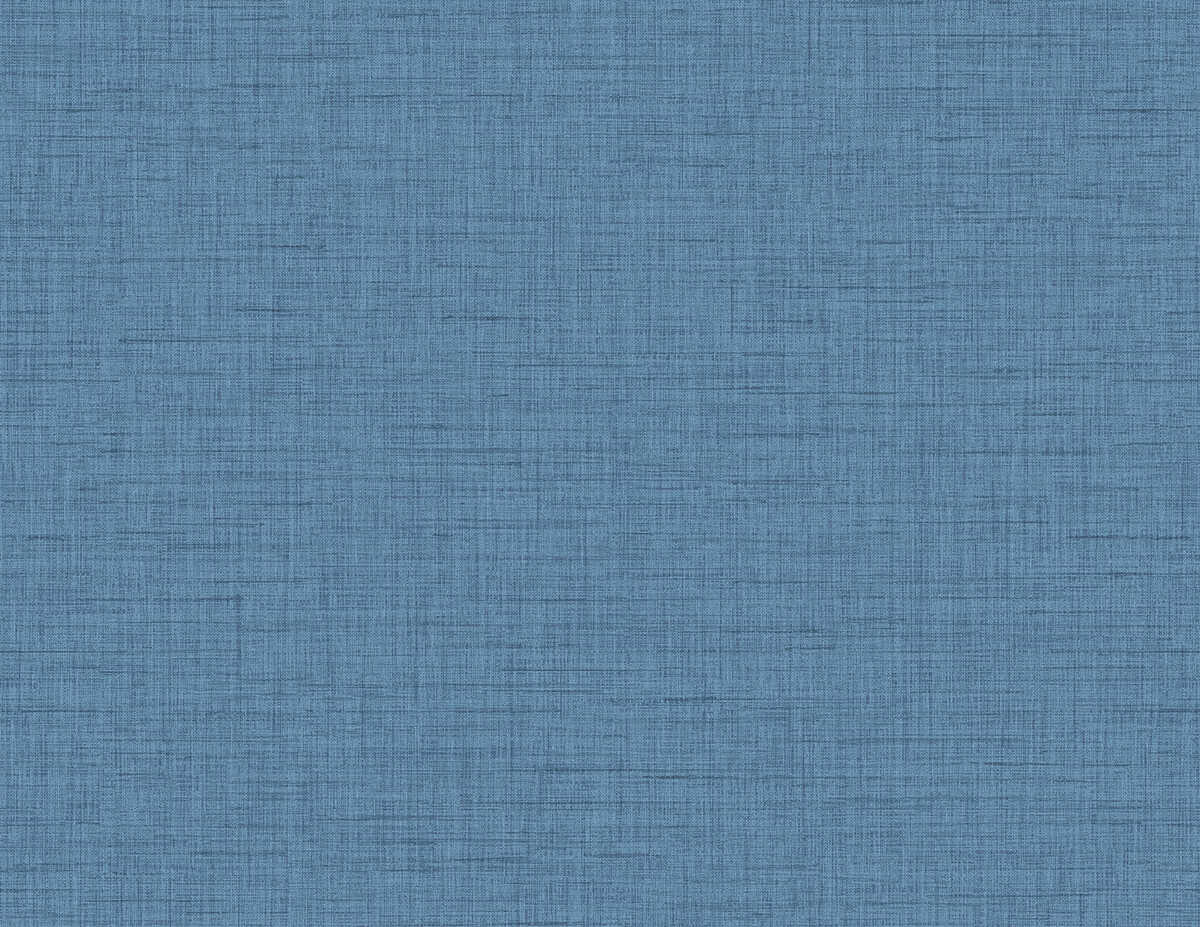 Terry Lane - Denim - WINFIELD THYBONY Wallpaper