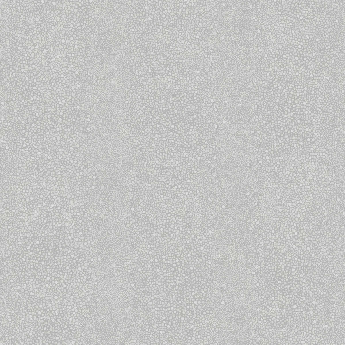 Ray - Coastal Fog - WINFIELD THYBONY Wallpaper