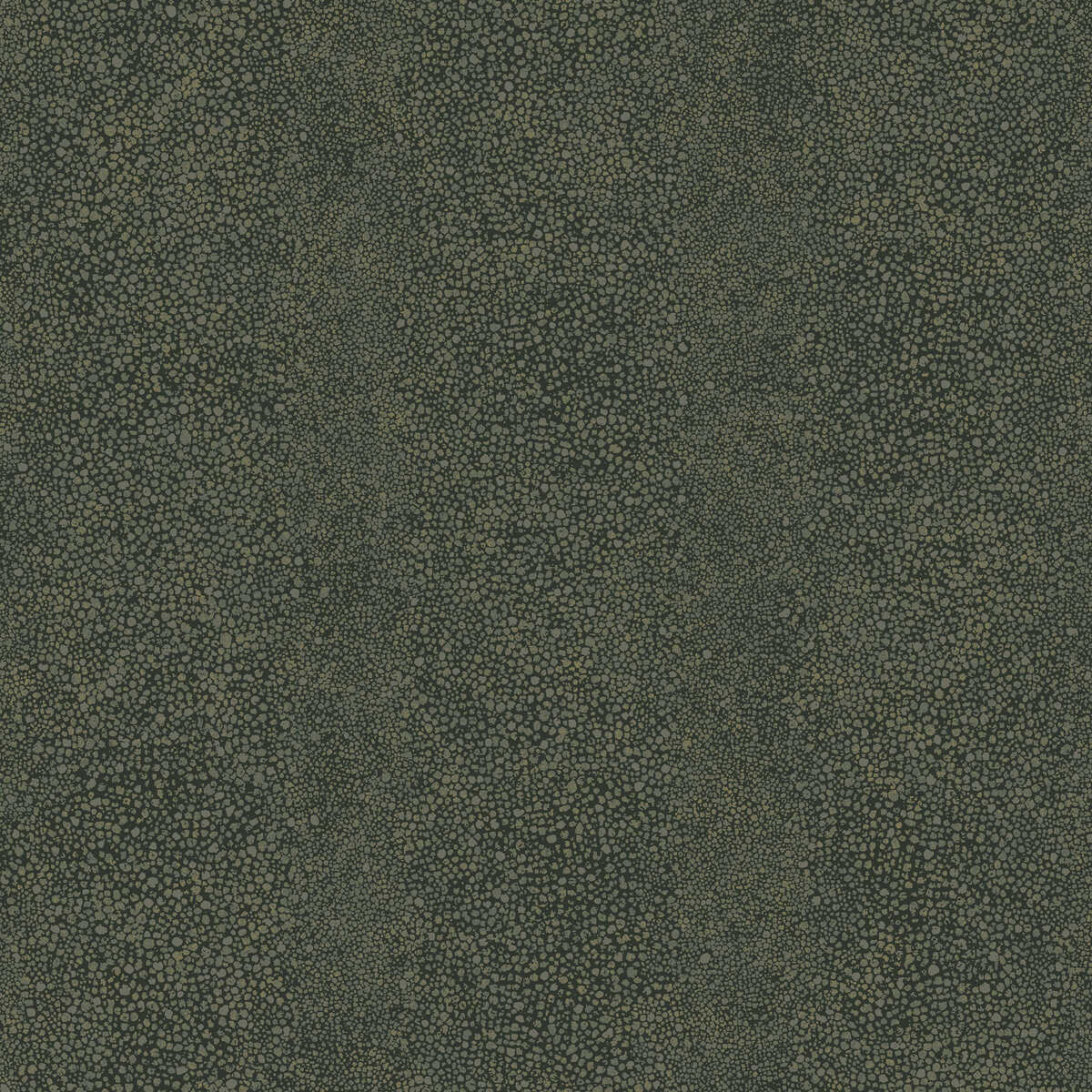 Ray - Night Sea - WINFIELD THYBONY Papel pintado