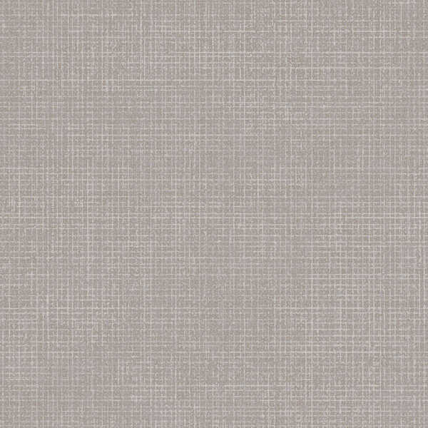Etched Surface - Zinc - WINFIELD THYBONY Wallpaper
