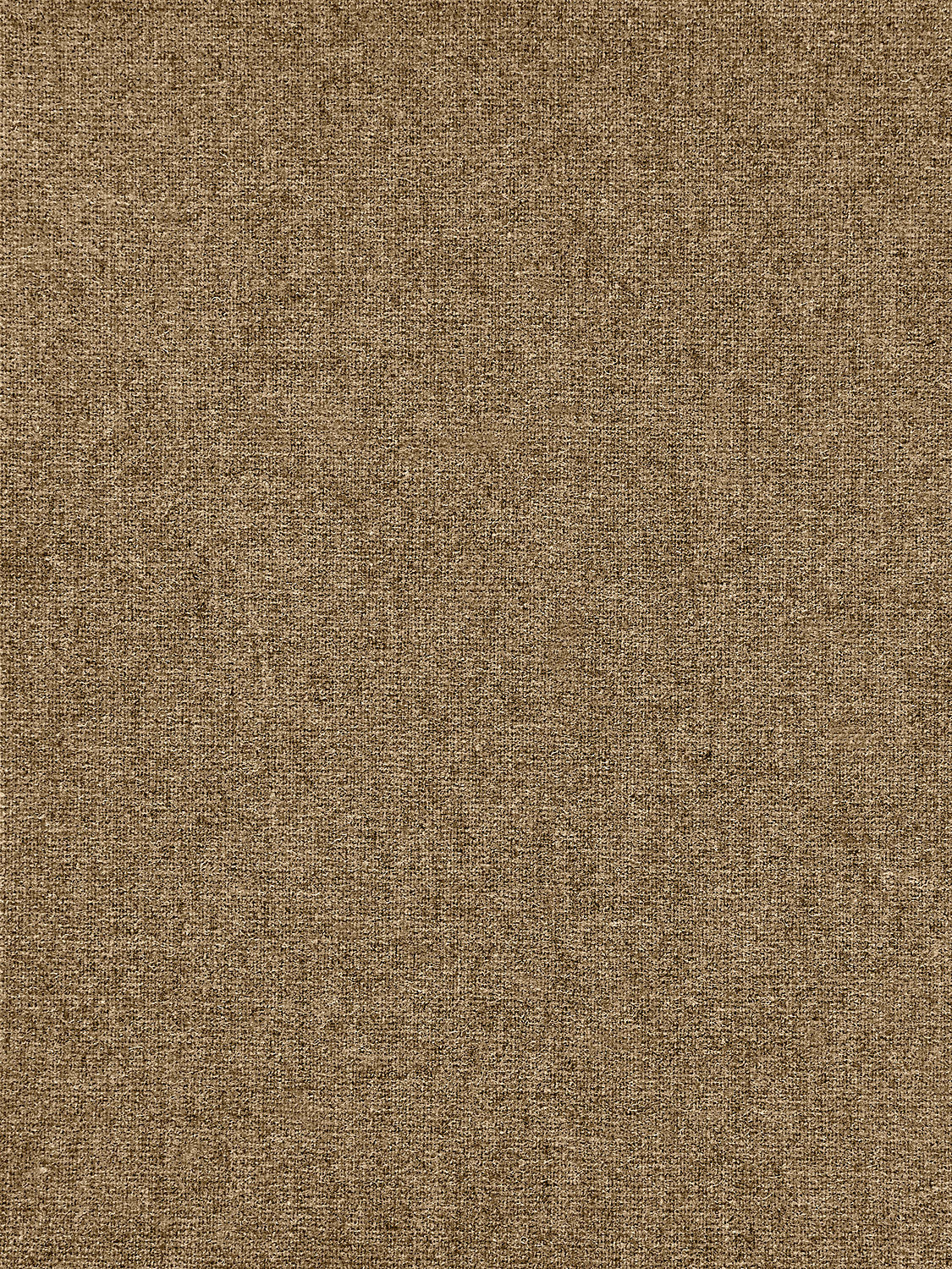 Bradford Wool - Latte - Scalamandre Wallpaper