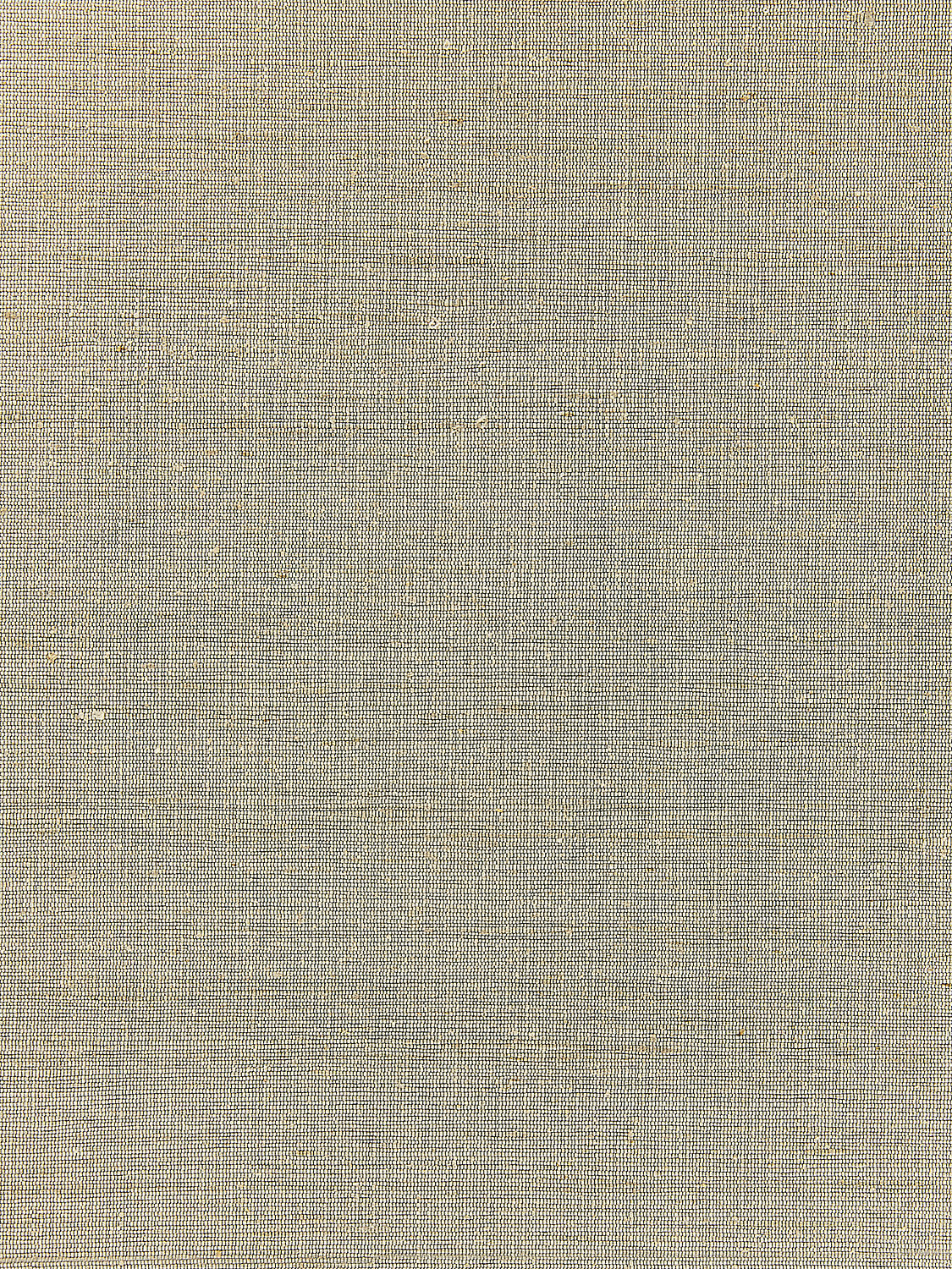 Orissa Silk - Oat