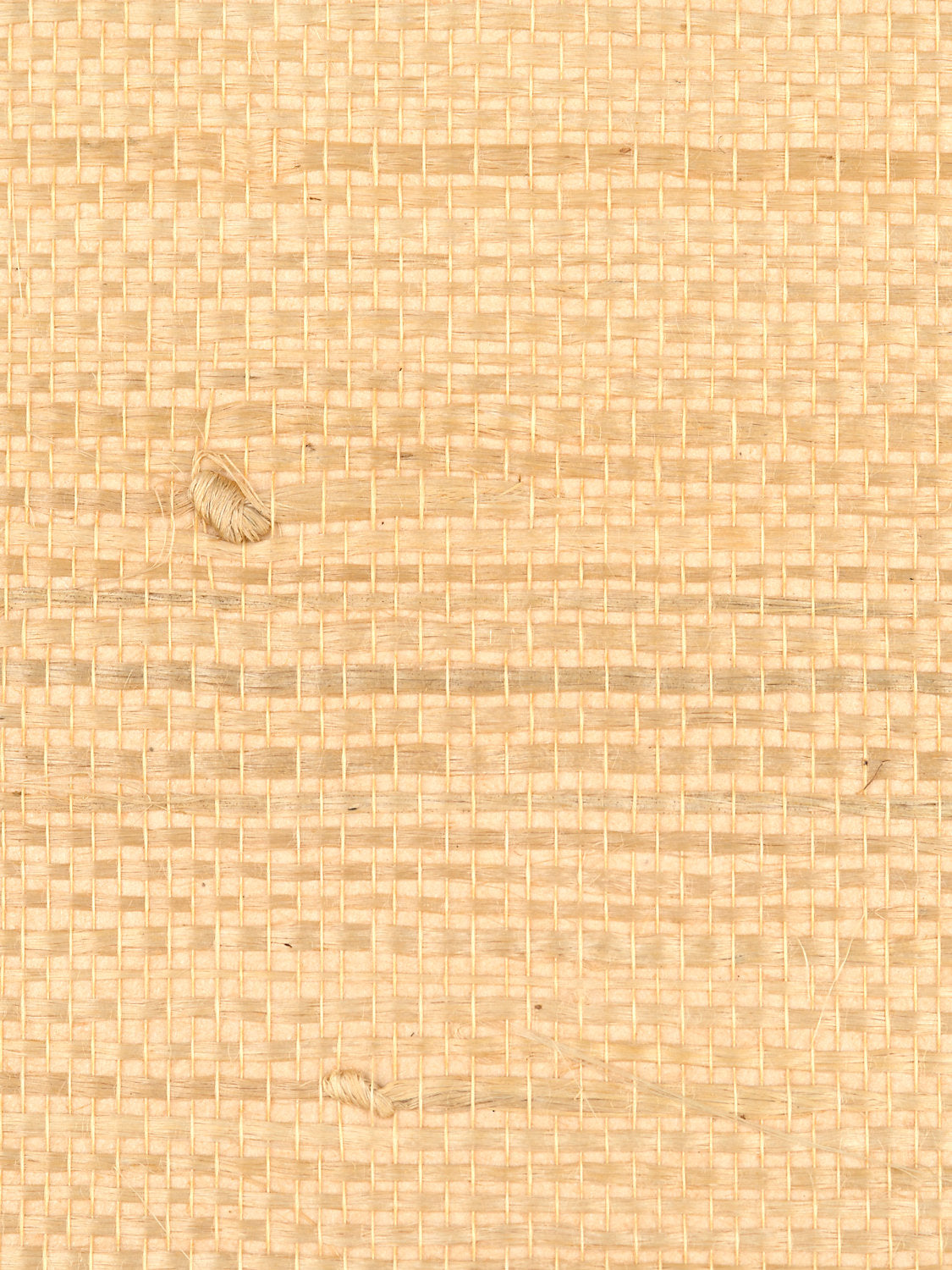 Justin Jute - Saffron - Scalamandre Wallpaper