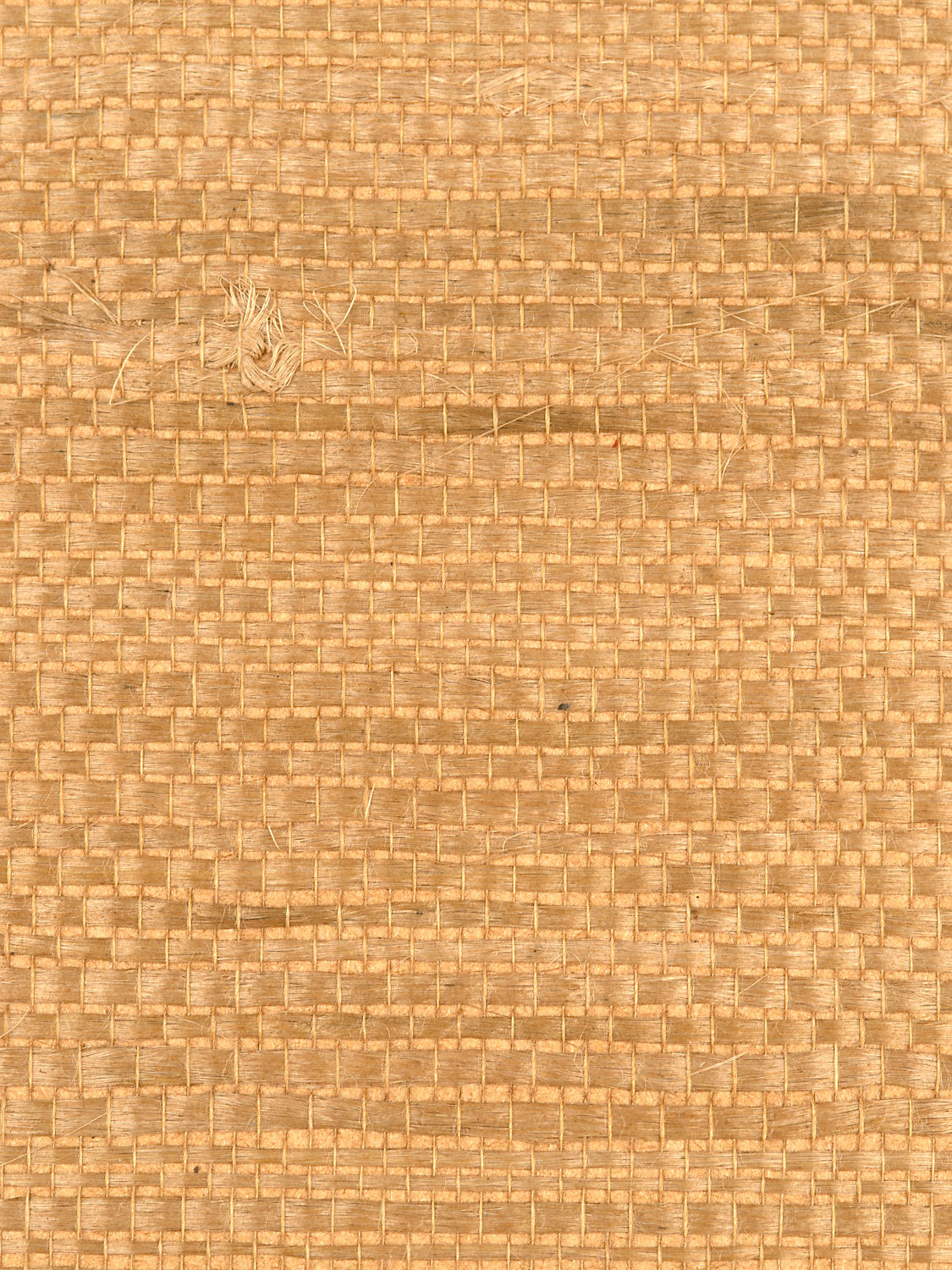 Justin Jute - Tobacco