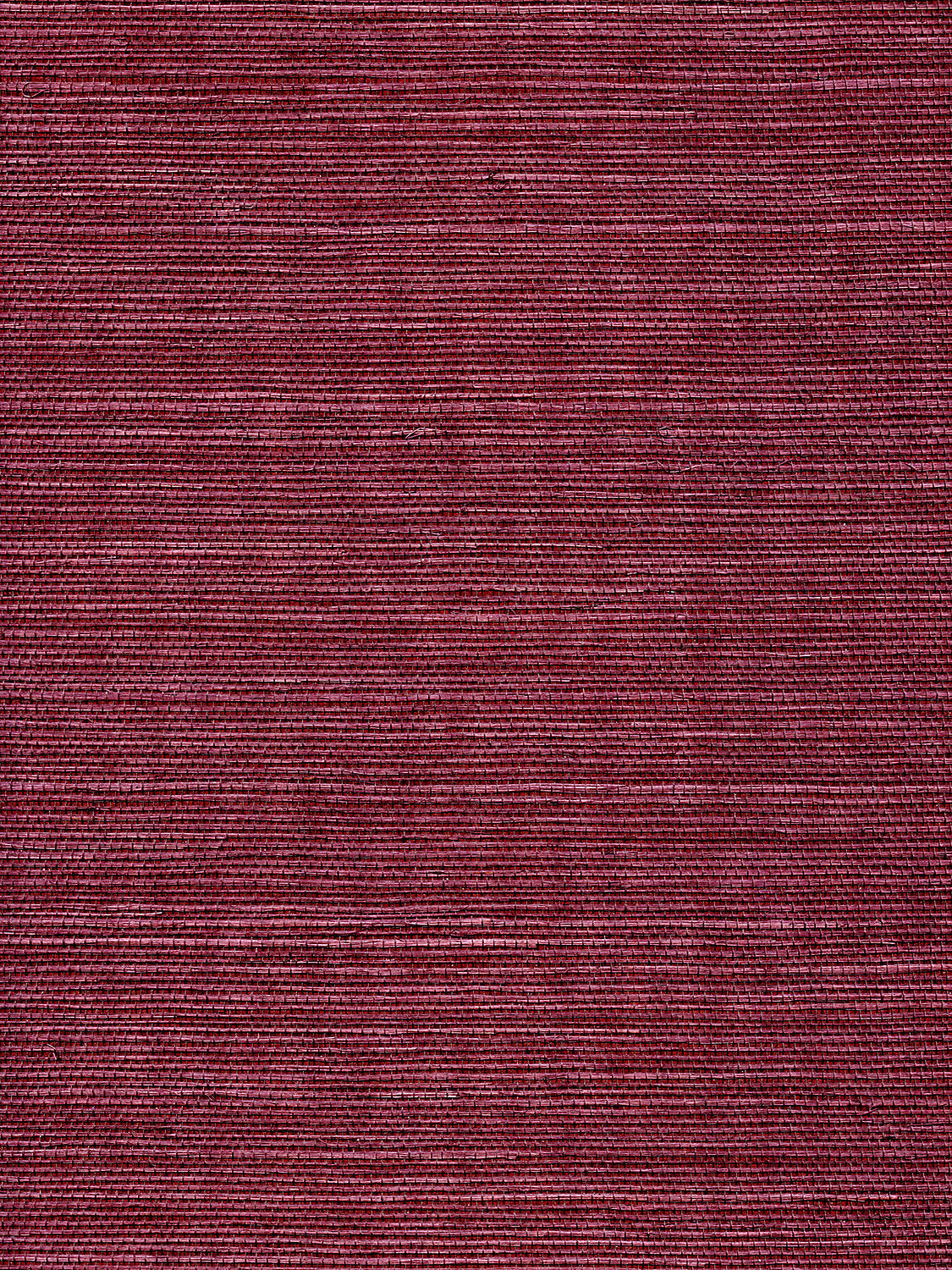 Organic Sisal - Luscious - Scalamandre Wallpaper