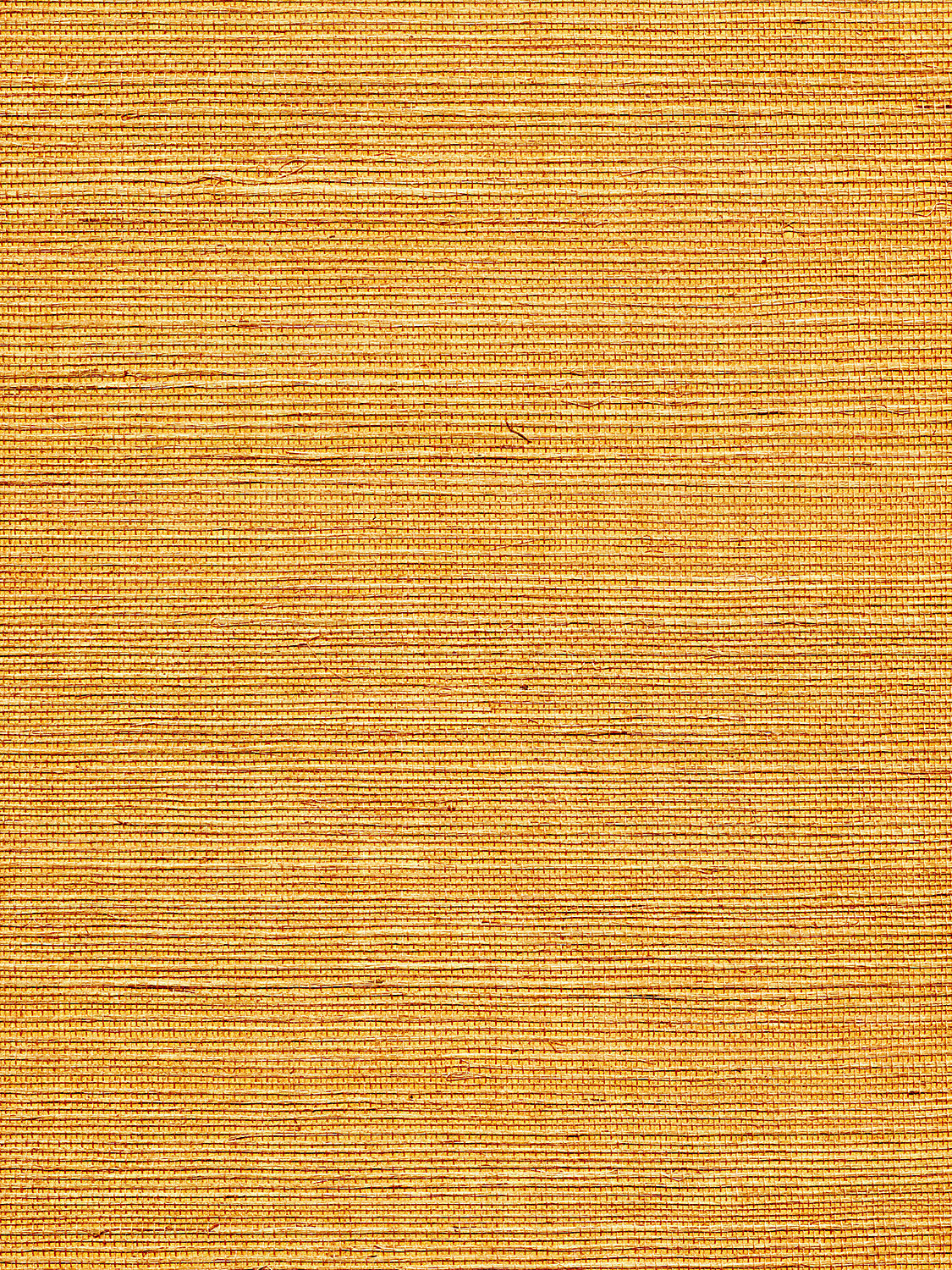 Organic Sisal - Sienna
