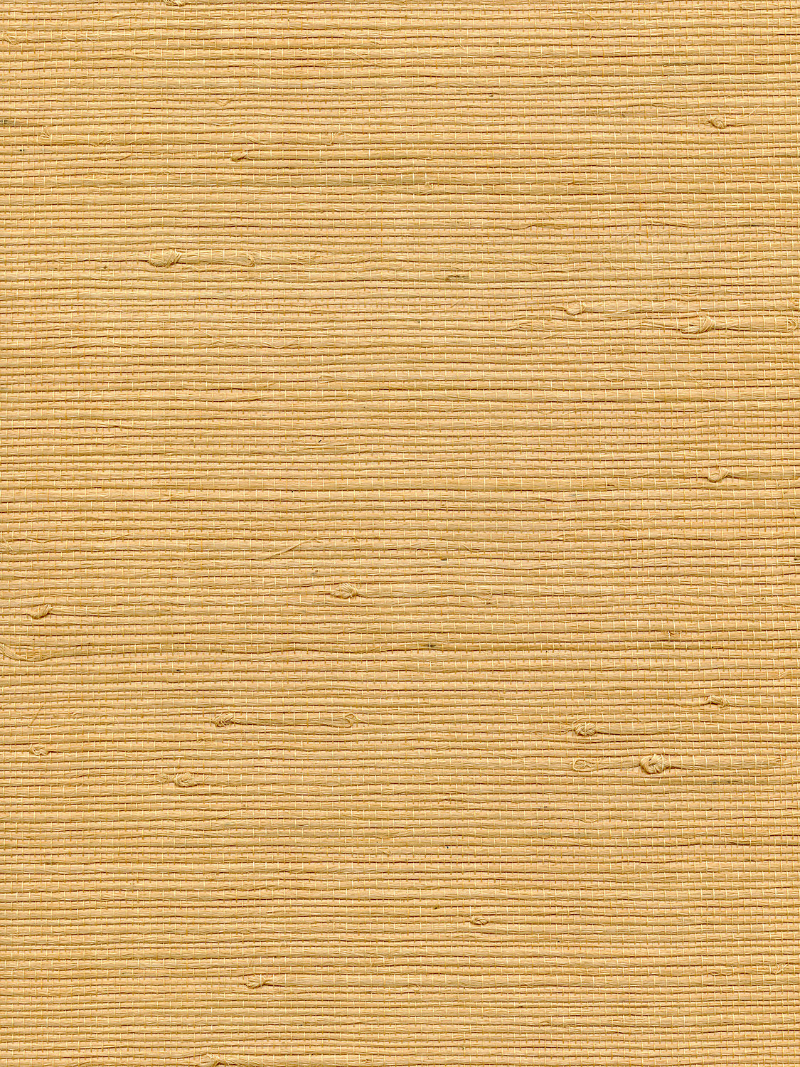 Organic Jute - Maize - Scalamandre Wallpaper