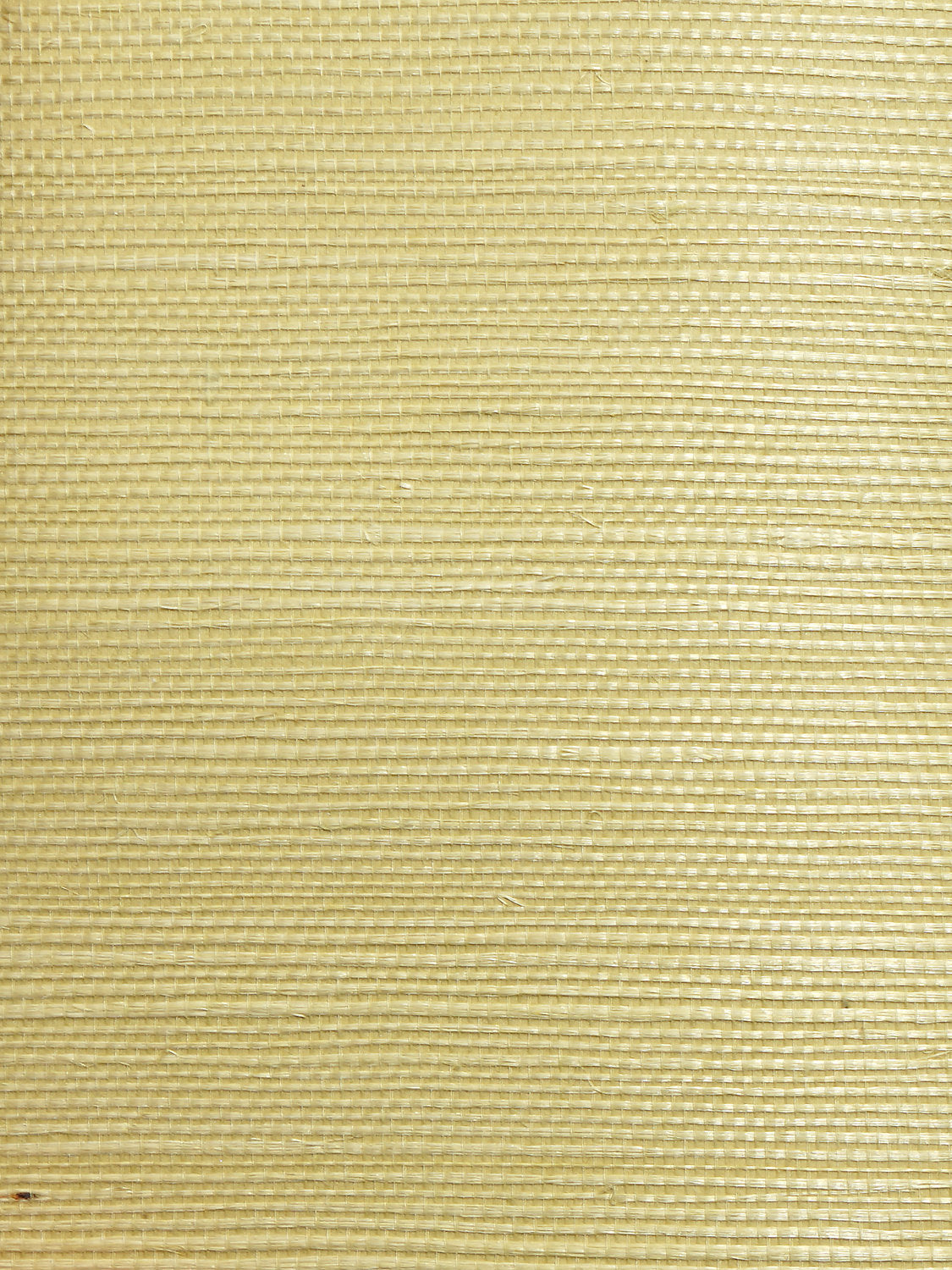 Organic Sisal - Leaf - Scalamandre Wallpaper