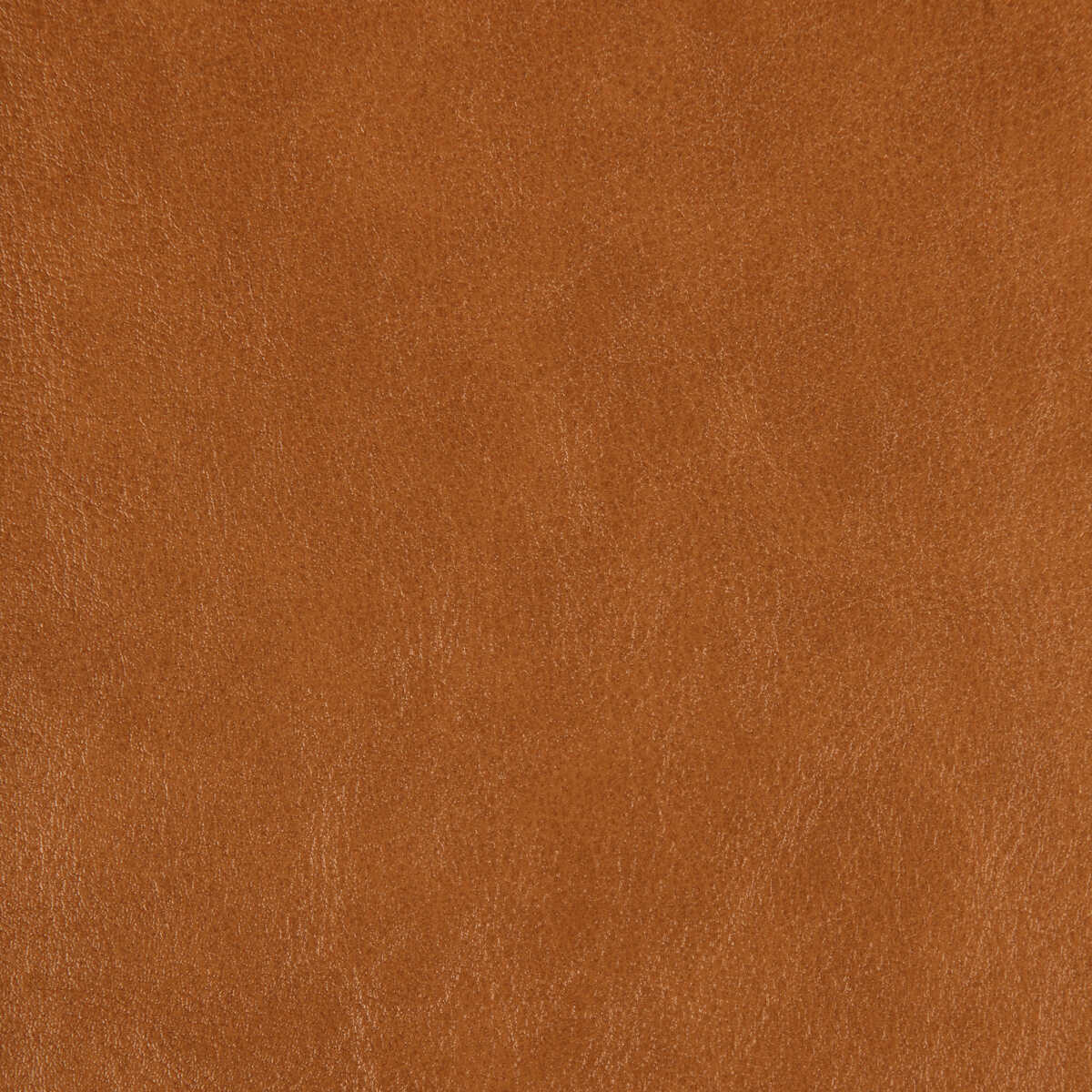 Kravet Design - Zenon-6 - KRAVET DESIGN Tela