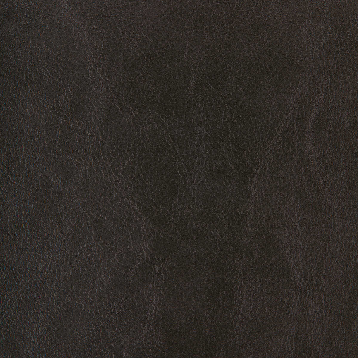 Kravet Design - Zenon-8 - KRAVET DESIGN Tela