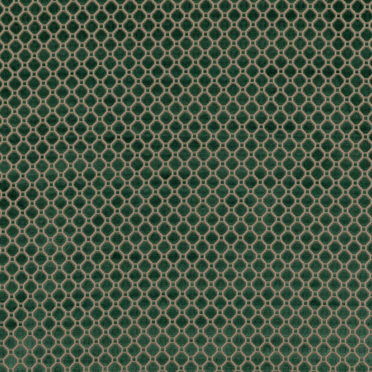 Indus Velvet - Emerald - G P & J BAKER Fabric