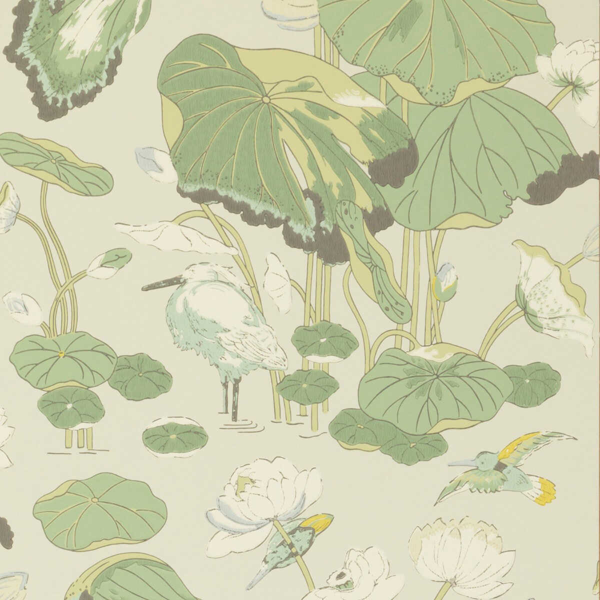 Nympheus - Botanical - G P & J BAKER Wallpaper