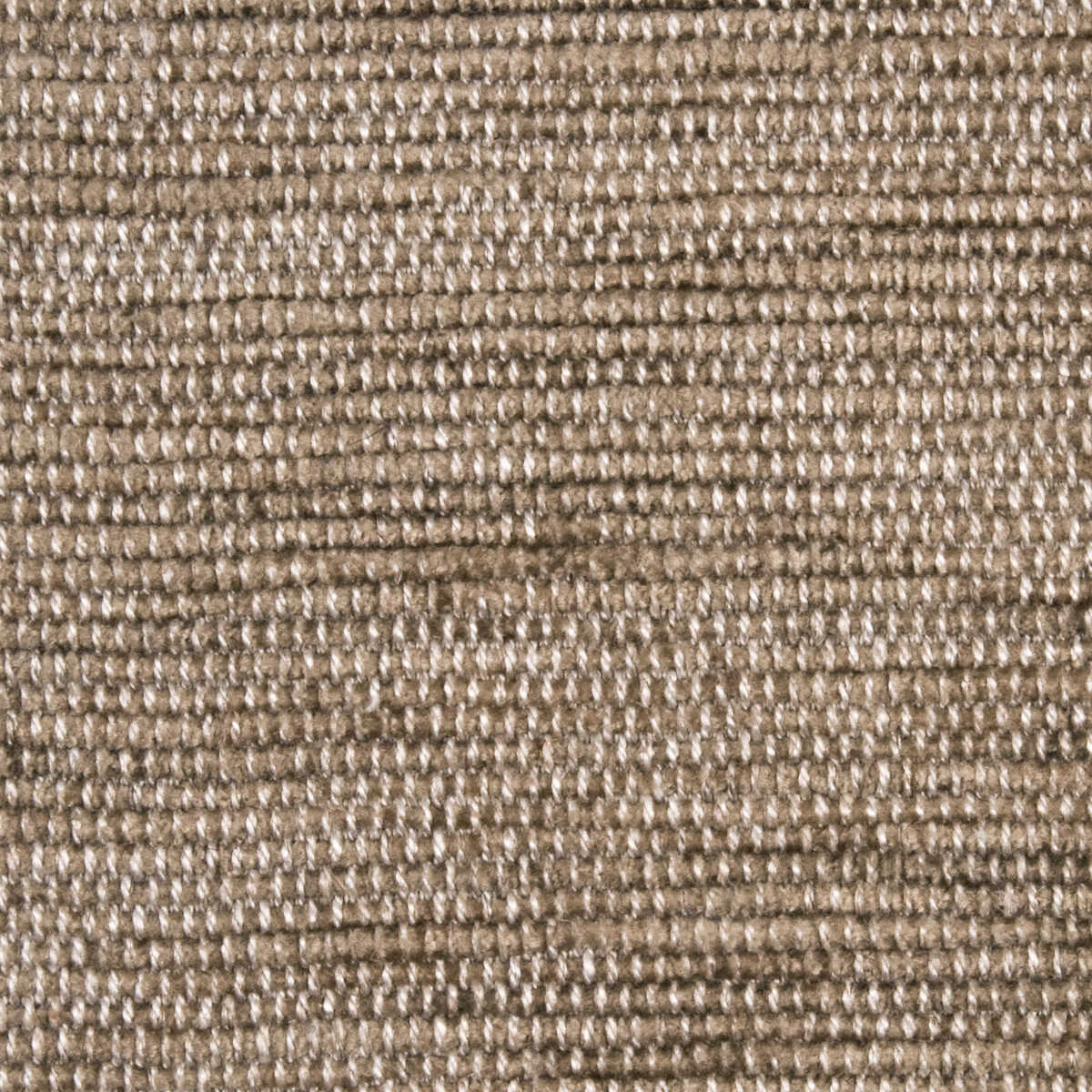 Charisma - Mocha - THREADS Tela
