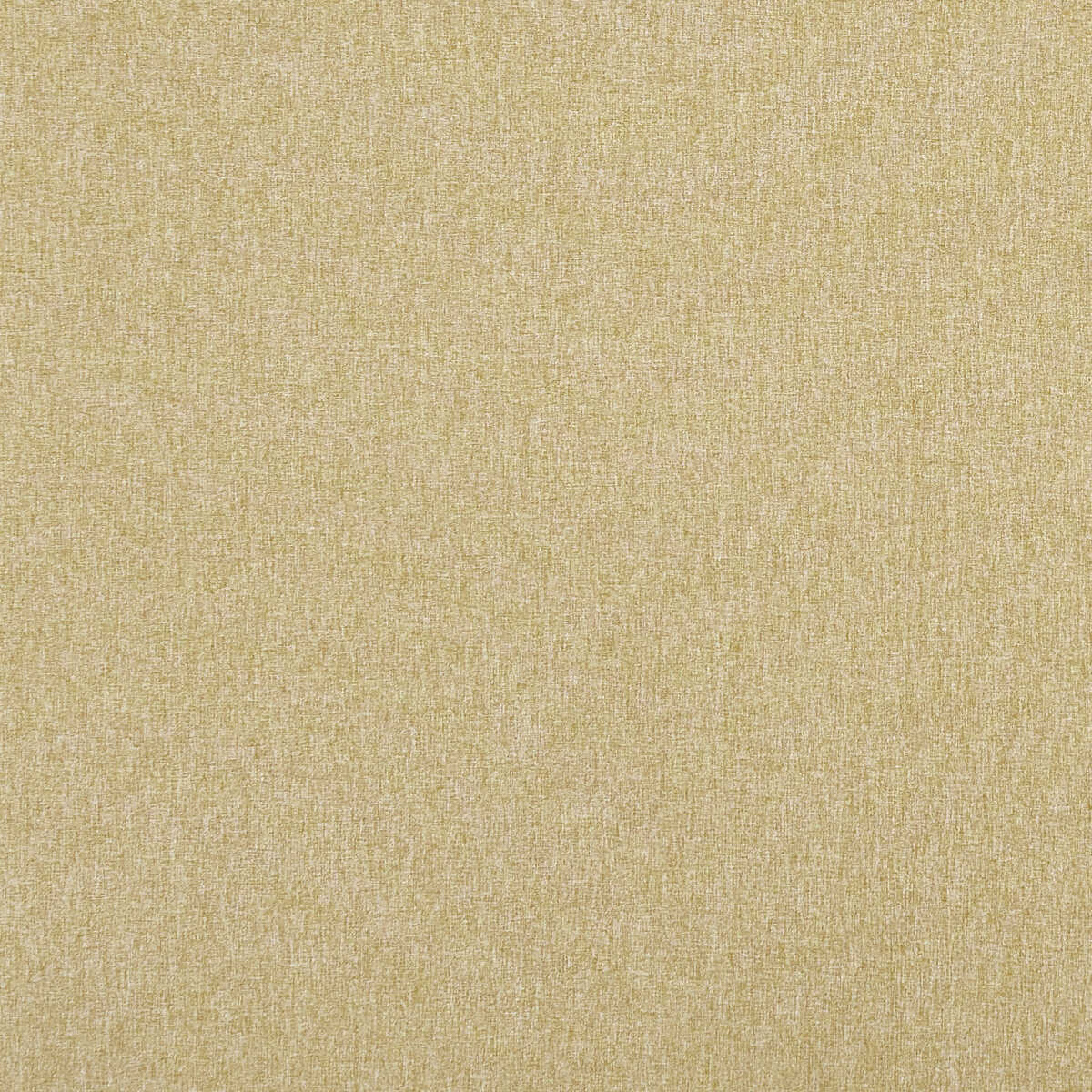 Highlander - Antique