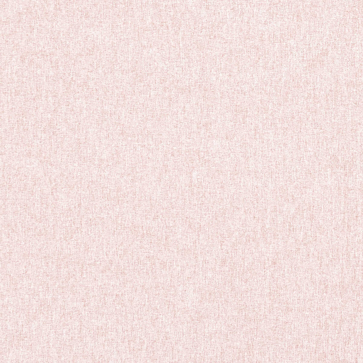 Highlander - Blush