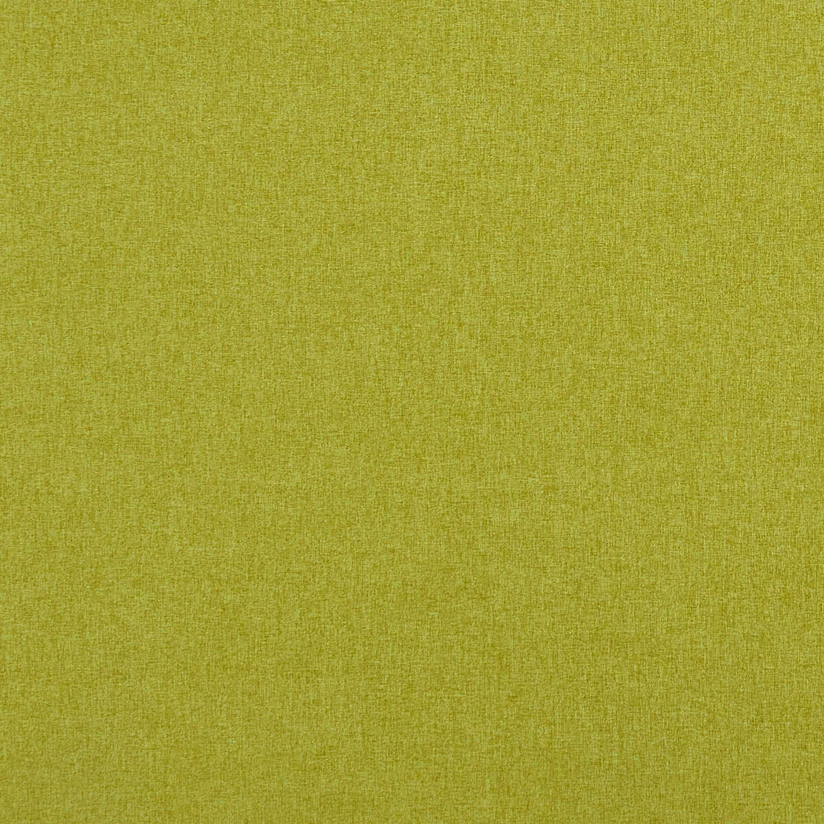 Highlander - Citron