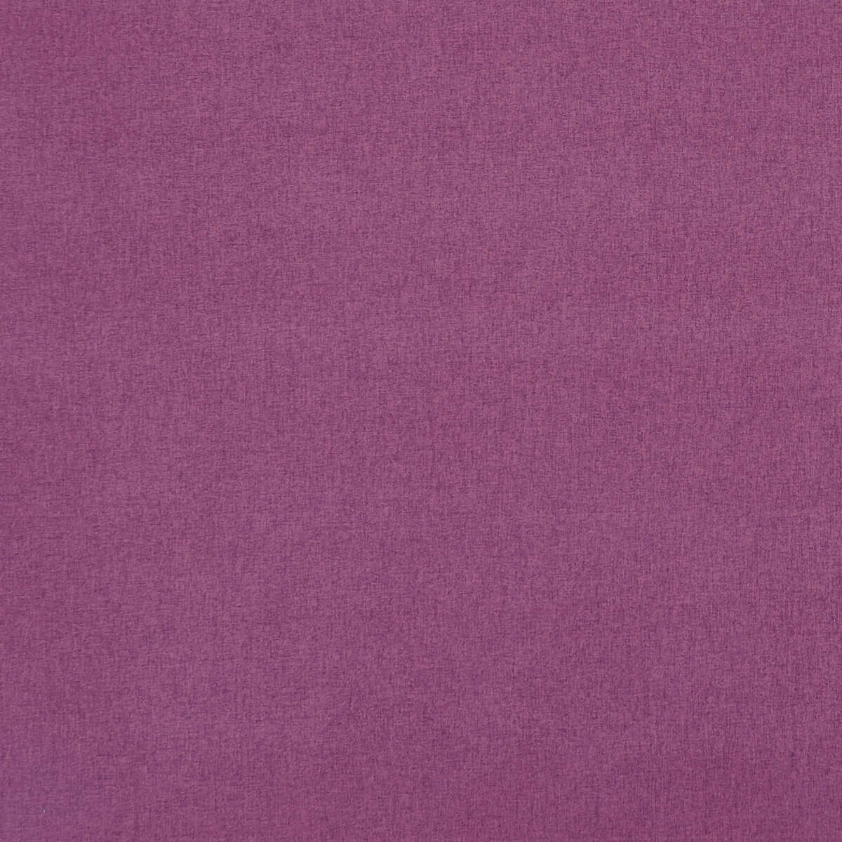 Highlander - Cranberry