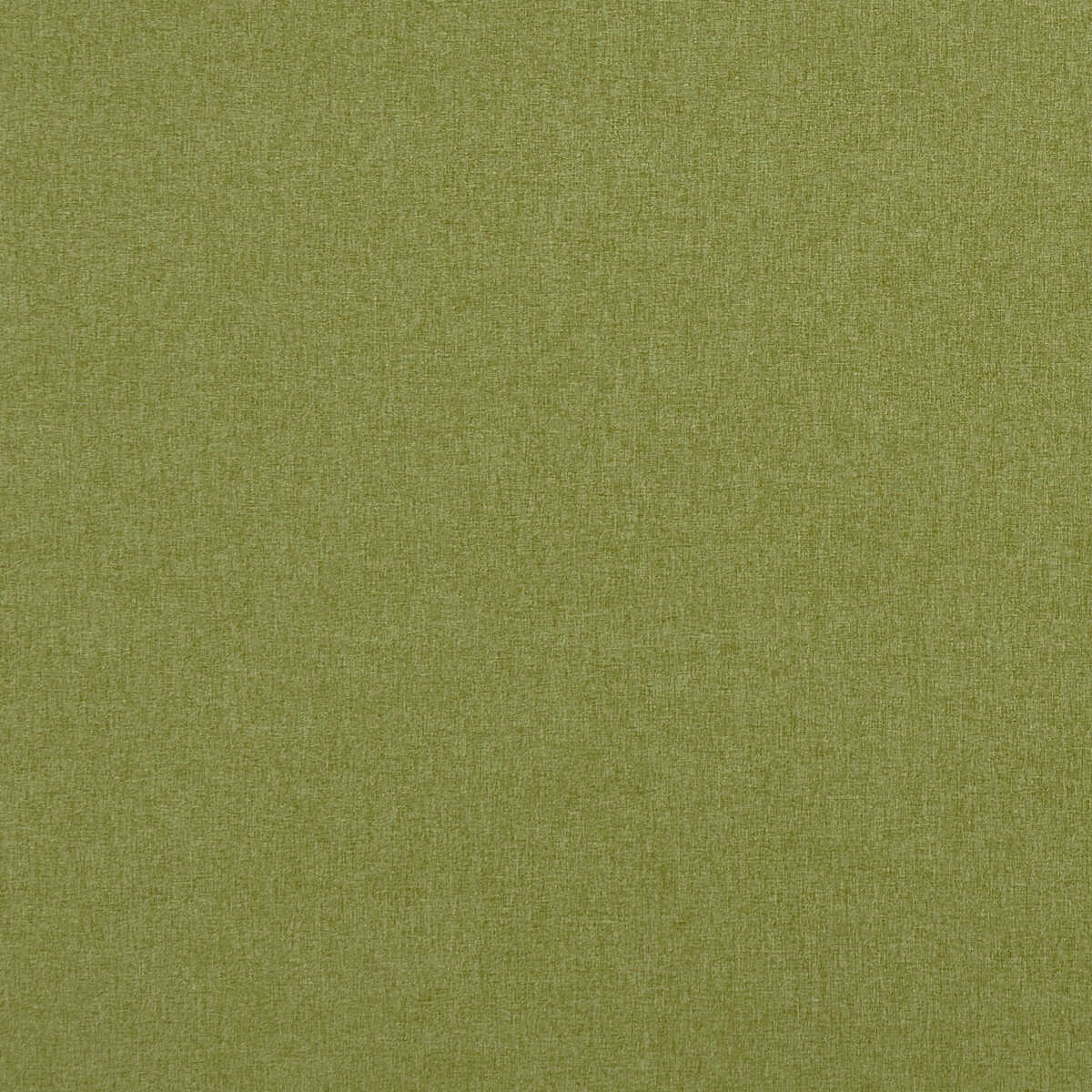 Highlander - Leaf