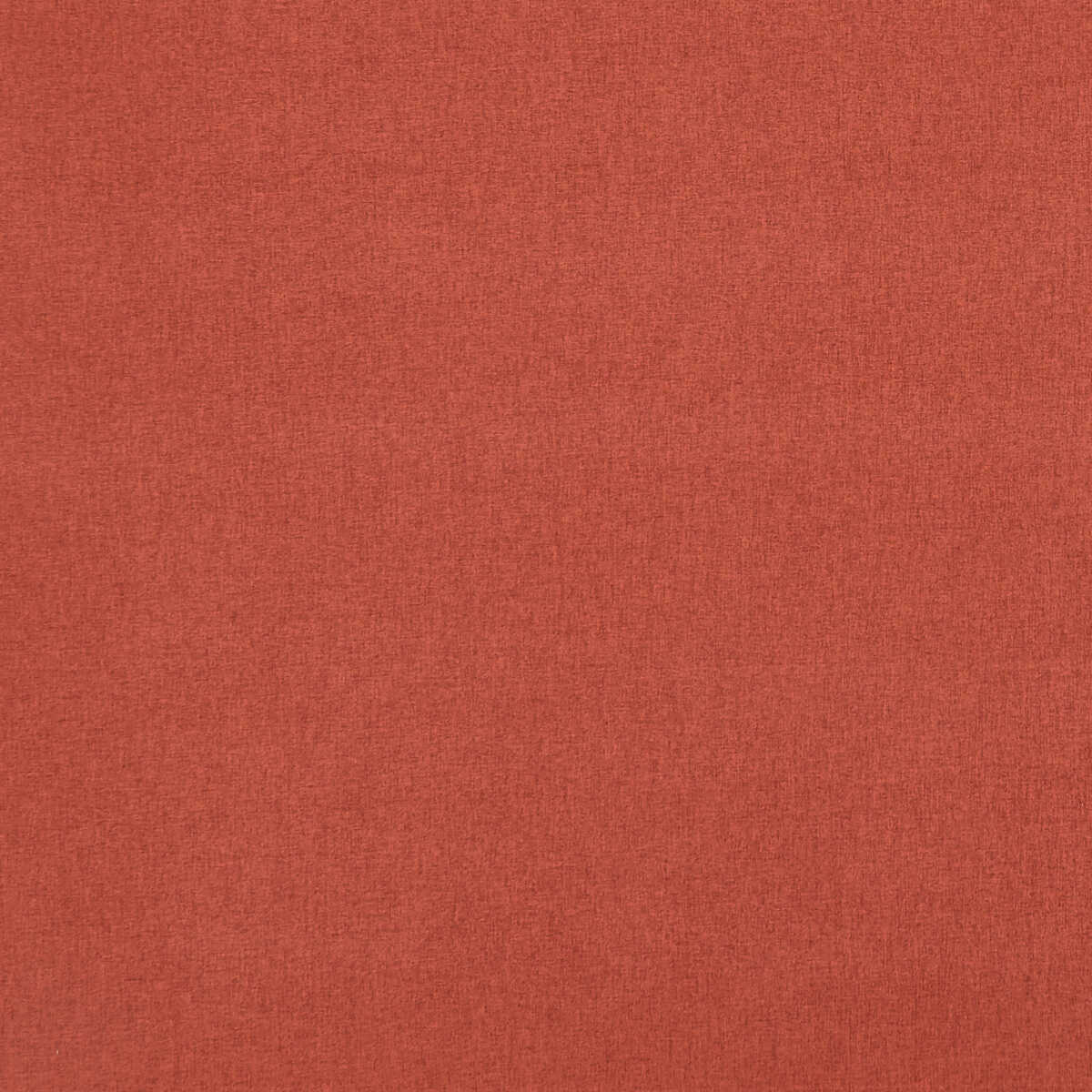 Highlander - Paprika