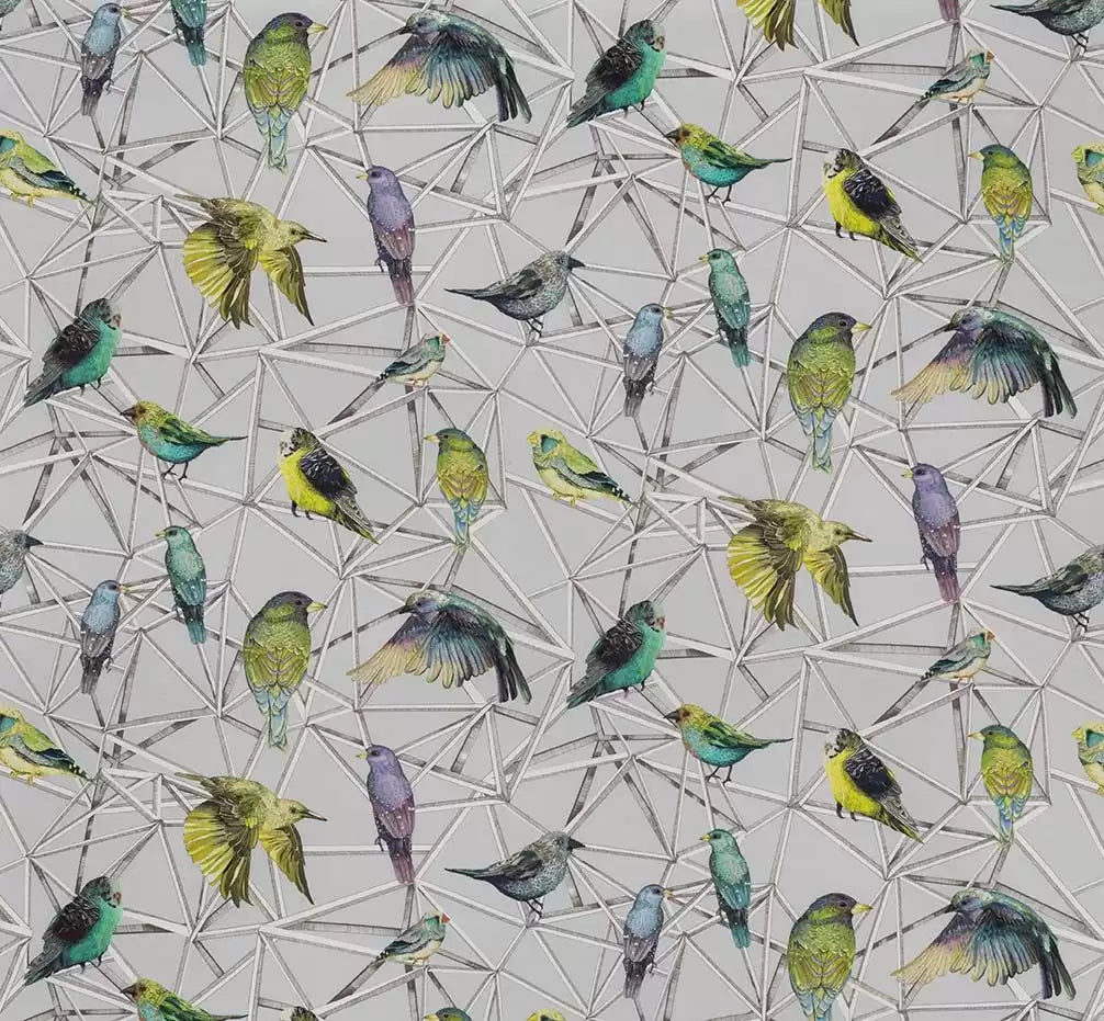 enchanted-gardens-aviary-turquoisechart-osborne-little-f7011-01