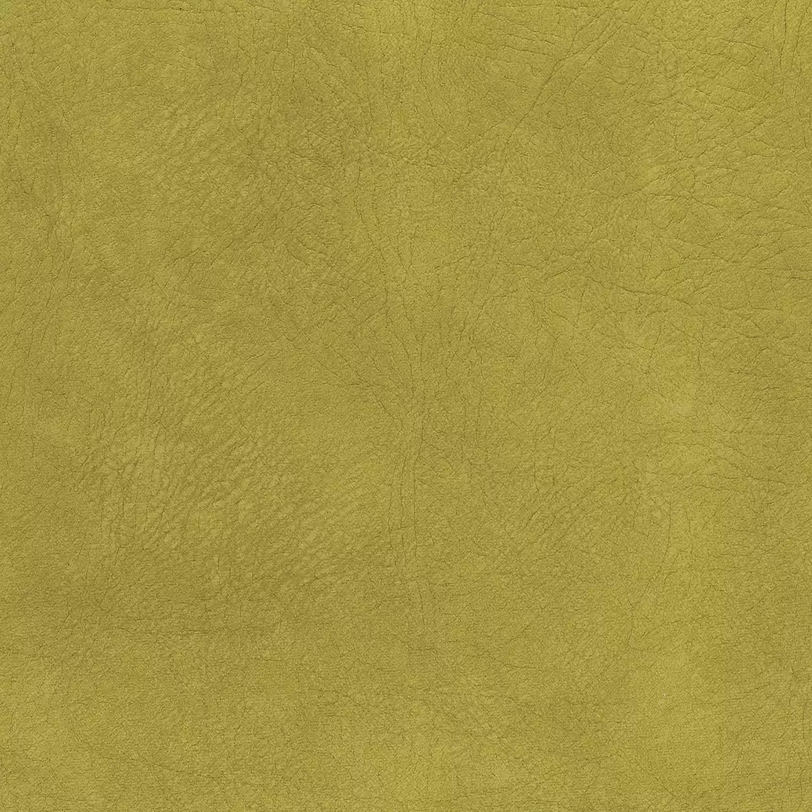 caresse-citrus-osborne-little-f7140-13