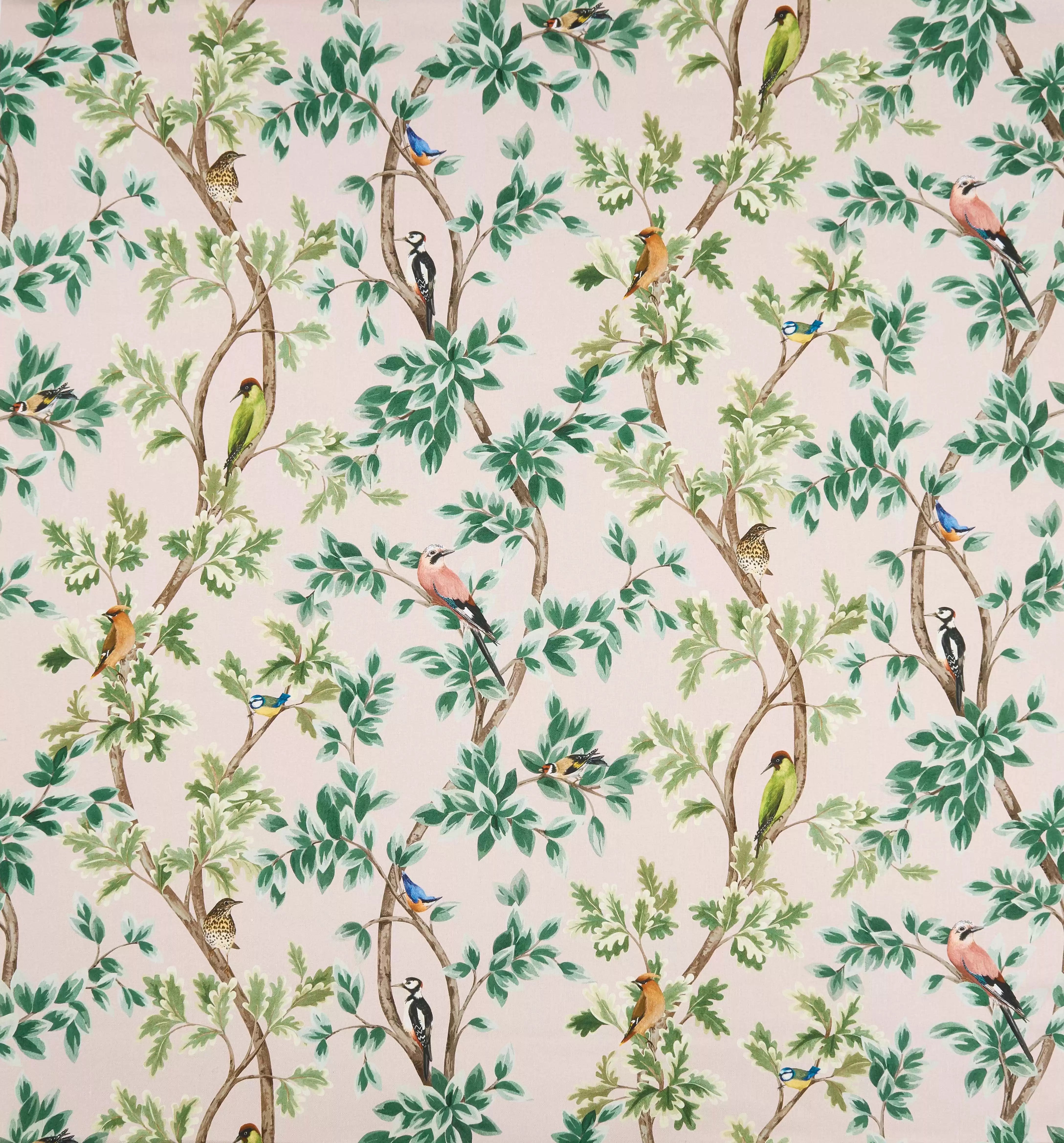 mansfield-park-netherfield-blush-osborne-little-f7403-02