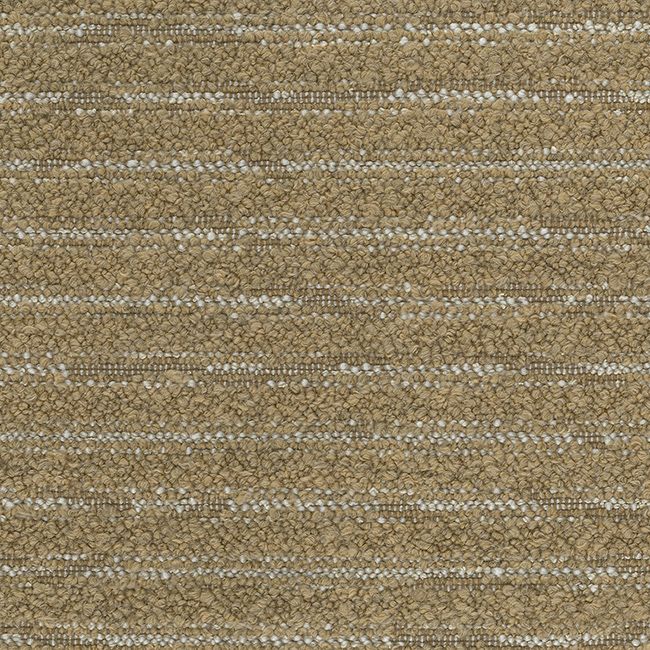 caraballo-dinara-camel-osborne-little-f8044-01