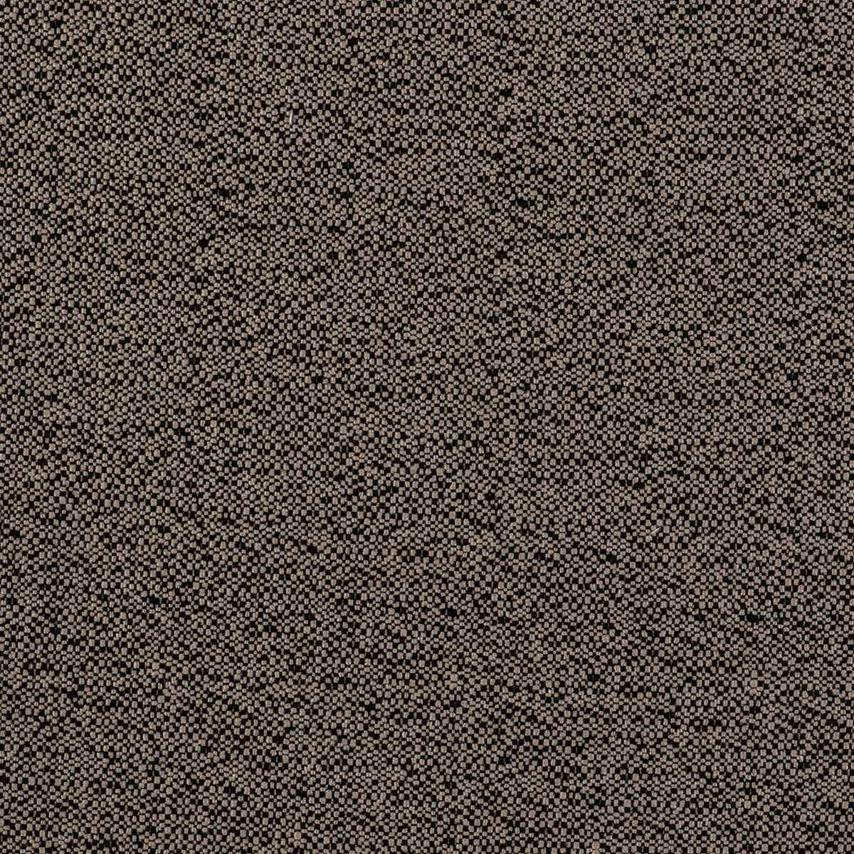 Gdt55080040 In Lino Negro Gaston Y Daniela Fabric