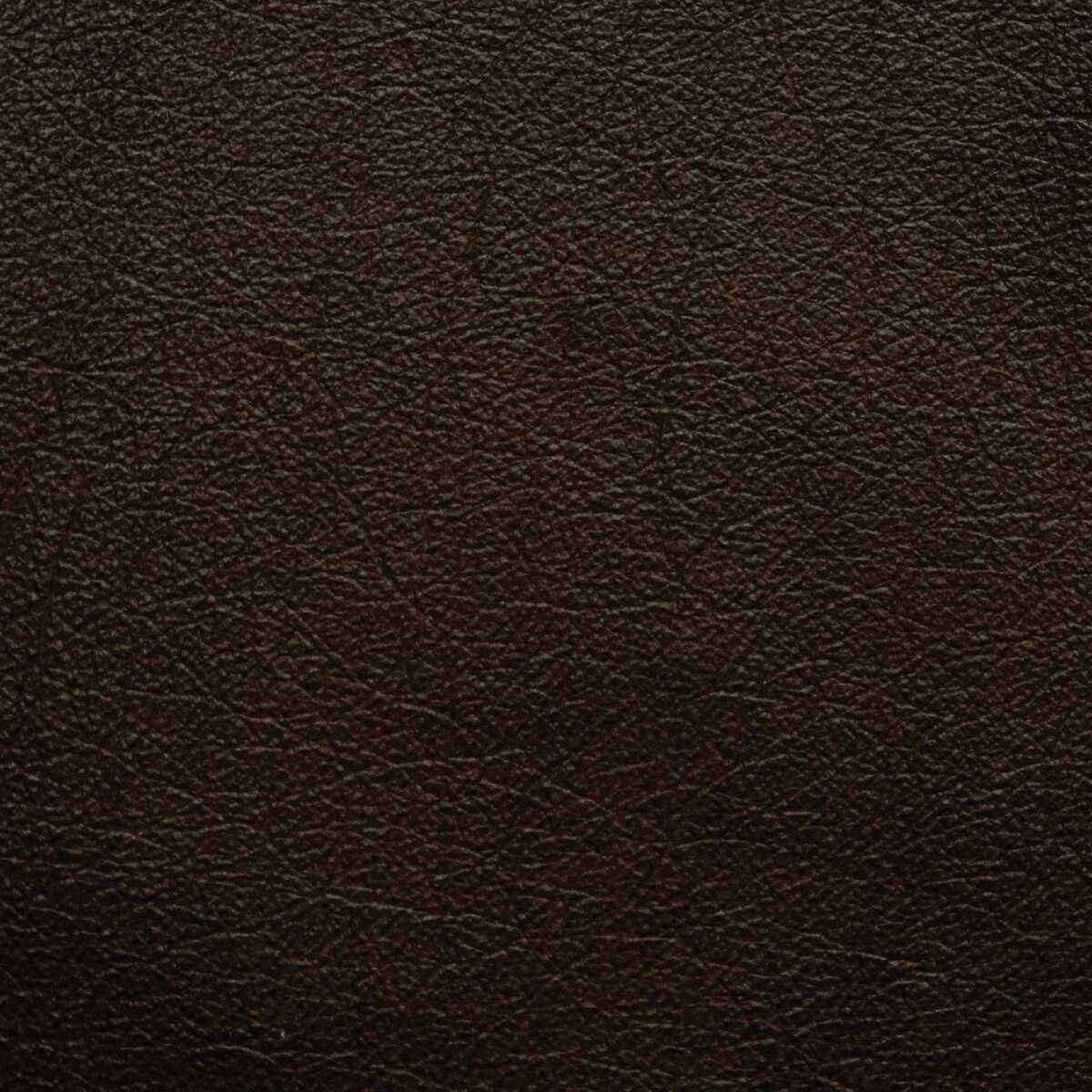 Lportofinchocolate0 Kravet Design L Portofin Chocolate Kravet Design Fabric