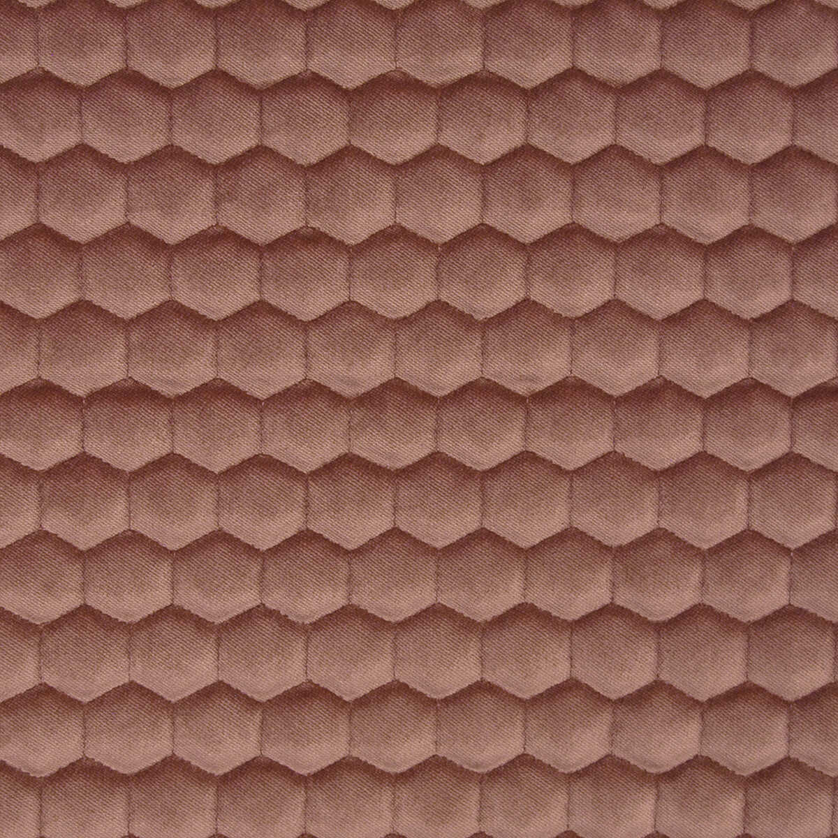 Quercus - Rosa - GASTON Y DANIELA Fabric