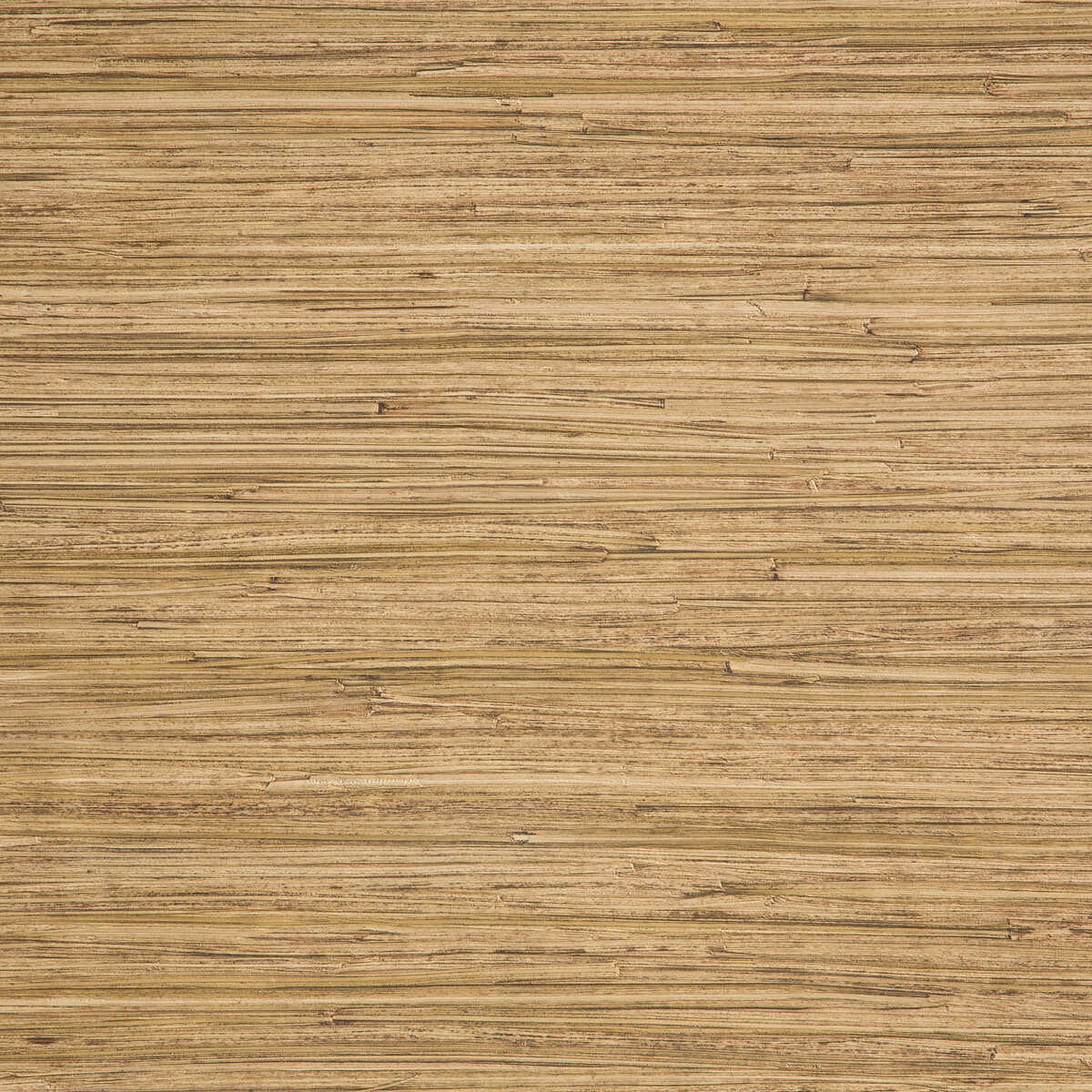Enea - 05 - KRAVET DESIGN Wallpaper