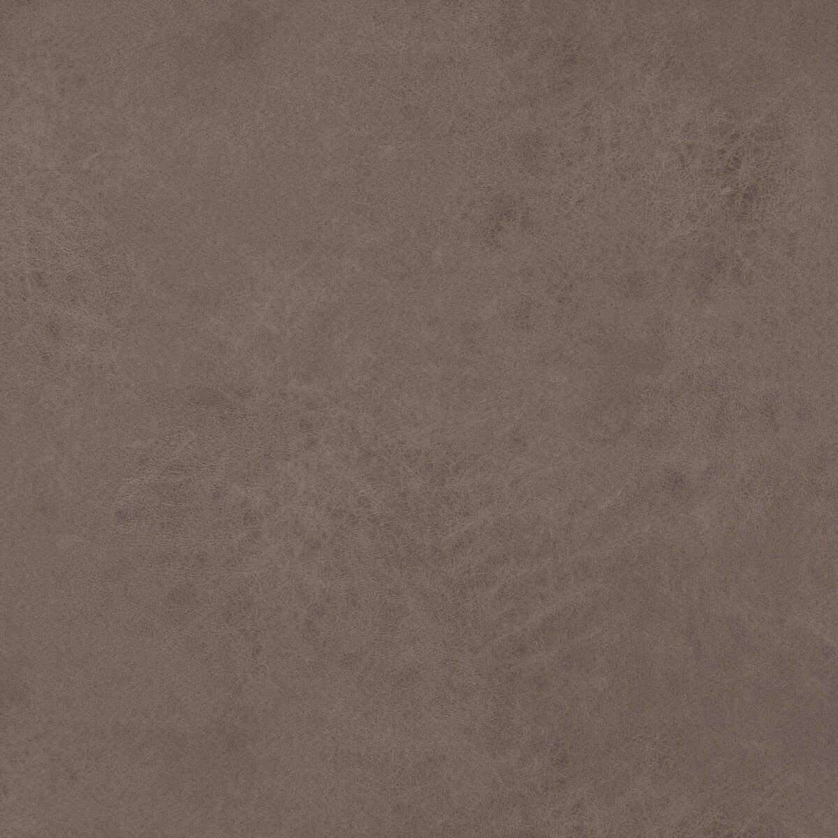 Lexham - Woodsmoke - BAKER LIFESTYLE Fabric