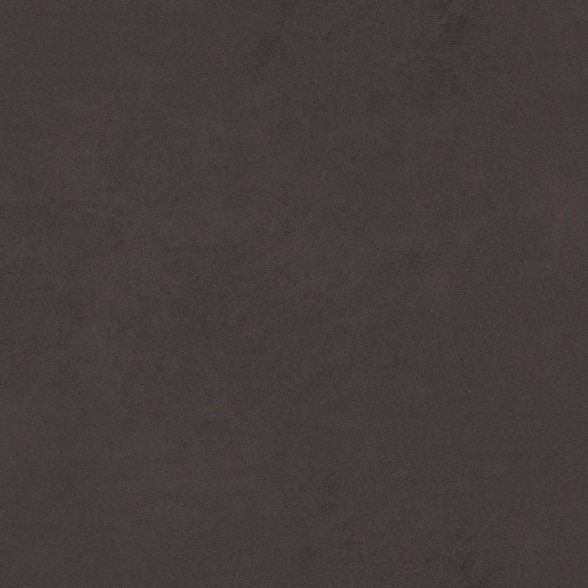 Lexham - Anthracite