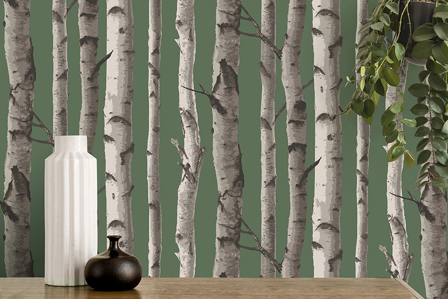 Chester Dark Green Birch Trees Wallpaper - Brewster Wallcovering