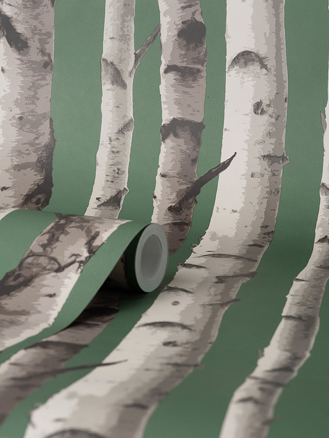 Chester Dark Green Birch Trees Wallpaper - Brewster Wallcovering